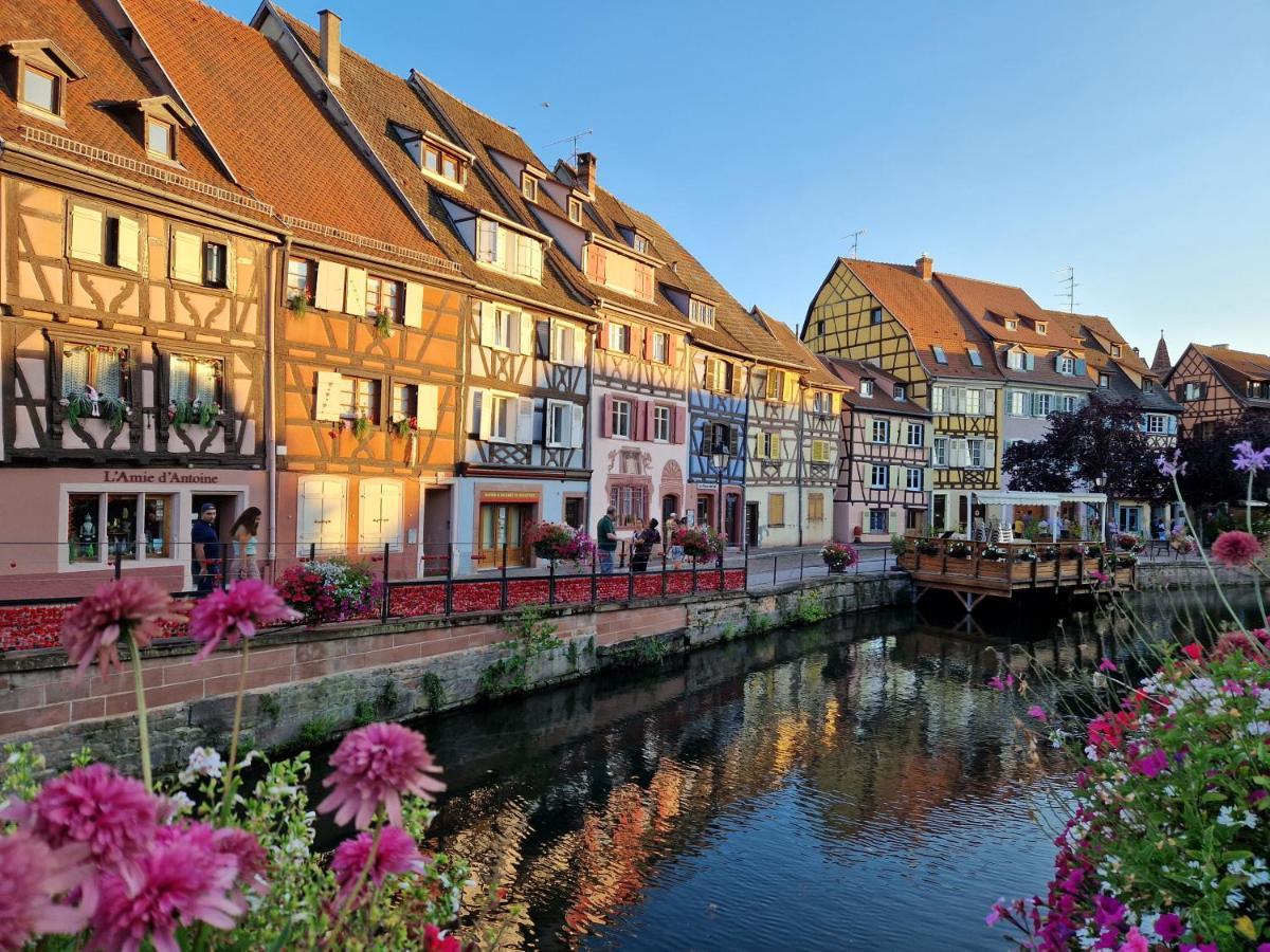 Home La Petite Porte - Petite Venise - Colmar Bagian luar foto